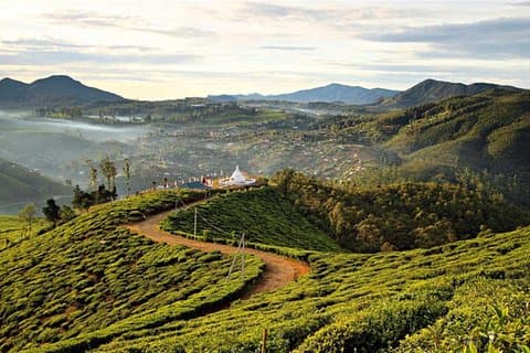 From Nuwara Eliya: Guided Hike to Single Tree Hills with Pick up