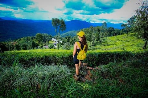 All-Inclusive-Teeplantagen-Abenteuer in Kandy