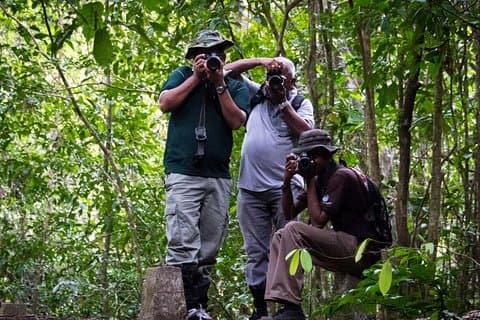 De Galle : Sentier Naturel Guidé à la Forêt de Kanneliya