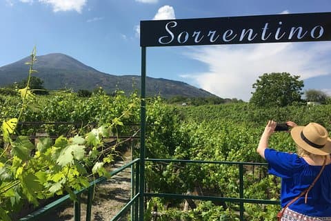 Wine Tasting and Tour Lacryma Christi Vesuvio