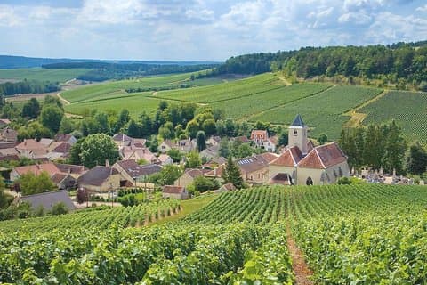 Privat champagne-tur fra Paris