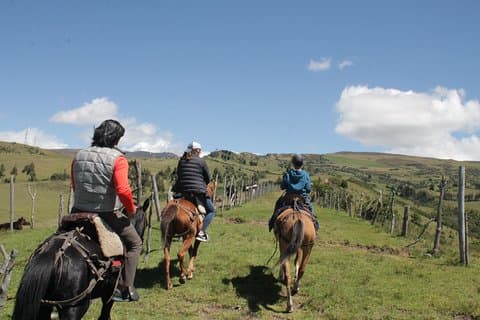 Rosen & Reiten (privater Tagesausflug von Quito)