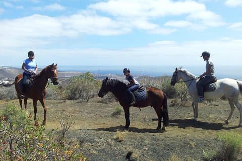 Rilassante tour a cavallo a Gran Canaria