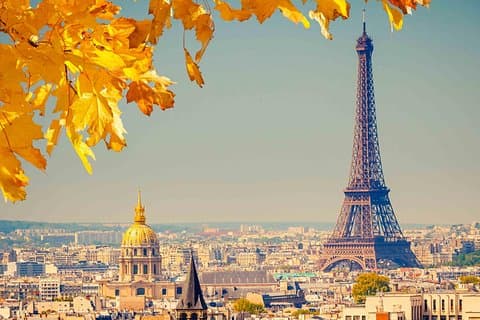 Parigi da solo (4-8 ore) con autista parlante inglese a bordo di MiniVan