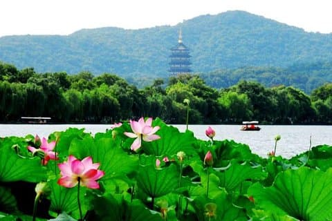 Privat Hangzhou dagstur fra Shanghai med Bullet Train
