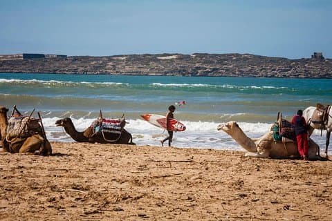 Heldagstur Essaouira-dagstur fra Marrakech