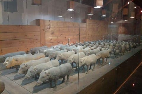 Privat dagstur til Terracotta Warriors og Jingdis Tomb