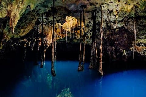 Avventura sacra a Xenotes! 4 diversi Cenotes + trasporto