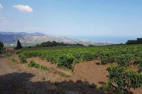 Weinerlebnis und Taormina-Tour ab Messina mit einem Luxus-Van