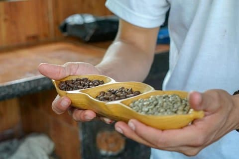 Costa Rican Coffee and Chocolate Crafting Experience: North Fields Cafe