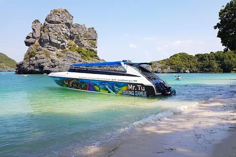 Herr Tu-Tagesausflug zum Angthong Marine Park mit dem Schnellboot von Koh Samui