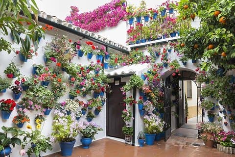 Private Tour: die Höfe von Cordoba