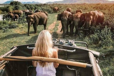 Udawalawe-Nationalpark und Elephant Transit Home von Galle