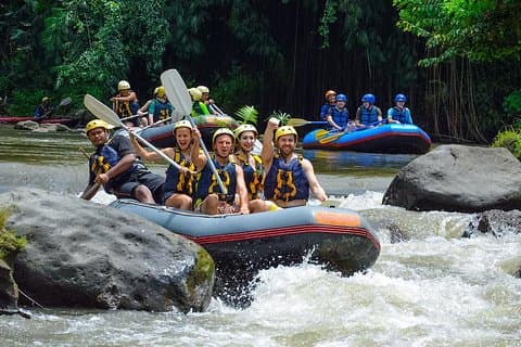 Hoteller i nærheden af Ubud Rafting, Big Swing & Spa