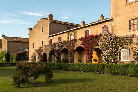 Vintur Bolgheri Halvdagsutflykt från Piombino Port