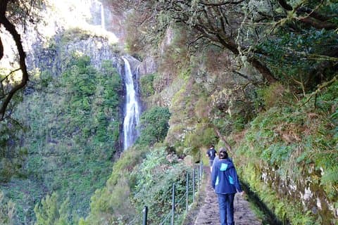 The Fantastic Cascades
