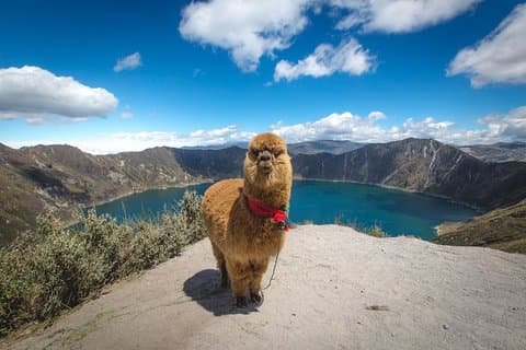 Laguna Quilotoa y mercados indígenas en un día desde Quito