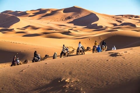Overnight in an Air-Conditioned Nomadic Desert Camp