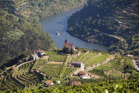 Douro Valley privat heldagstur från Porto