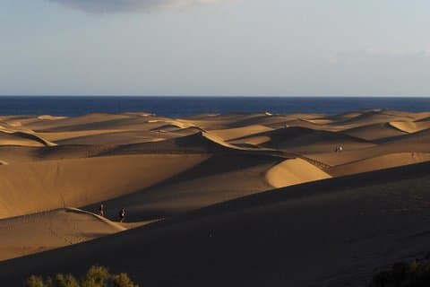 Rent e-Scooter 2 seater from 1 untill 4 Hour : Explore Maspalomas
