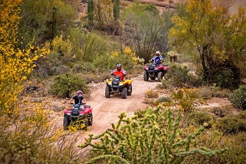 Geführte Arizona-Wüstentour mit dem ATV - Centipede Tour