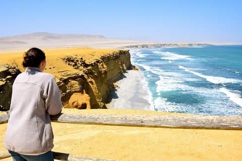 Ballestas Islands och Paracas National Reserve dagstur från Paracas