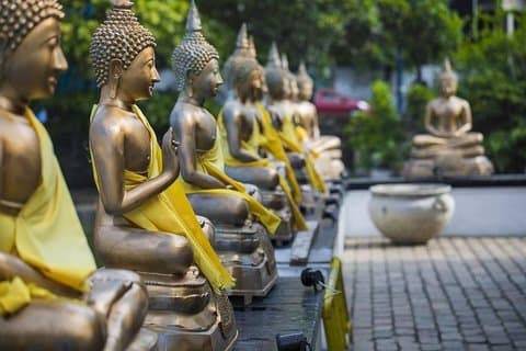 De Negombo: Tour privado de meio dia personalizado pela cidade de Colombo