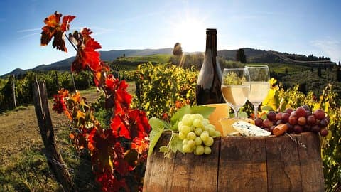 Tour relaxante de vinhos com comida e degustação de vinhos - Úmbria