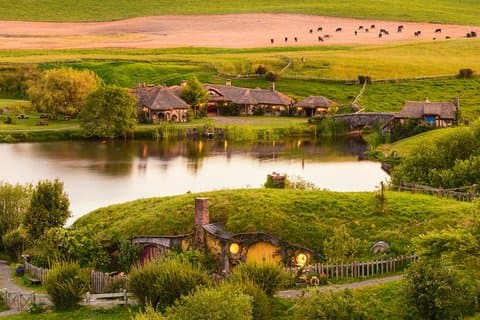 Hobbiton Movie Set Tour con pranzo da Auckland