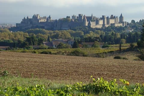 Excursão turística privada a Carcassonne e Albi saindo de Toulouse