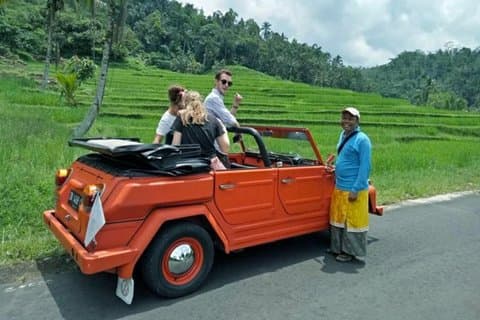 Bali VW Jeep Tour: Terrasse de riz, cascade, vue sur le jardin