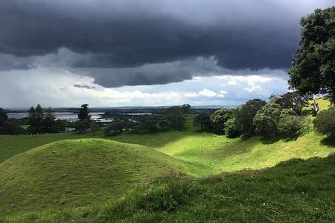 Excursion à terre: excursion d'une demi-journée à Auckland Volcanoes