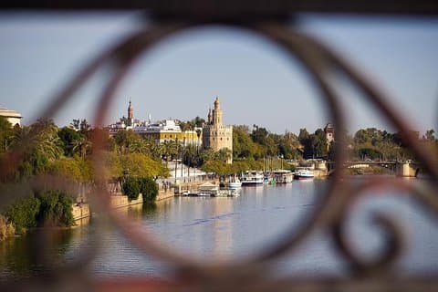Privat tur: Introduktion til vandretur til Sevilla's højdepunkter