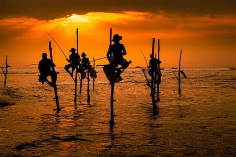 Day Tour to Benthota, Madhu & Galle from Colombo/Negombo/Airport