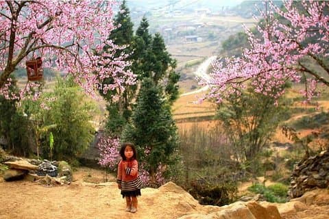 Sapa 3-daagse trekkingstour voor 2 nachten (1 nacht in Ta Van Village, 1 nacht in hotel)