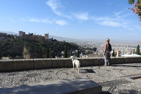 Albaicin guided tour with dogs