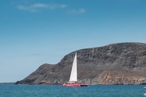 Catamaran Halve dag cruise vanuit Caleta de Fuste