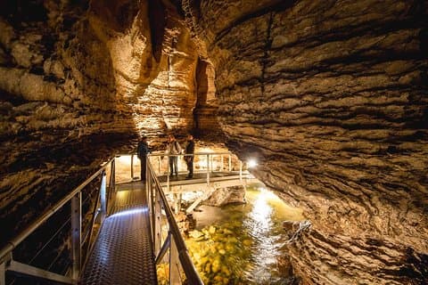 Visite des grottes aux vers luisants de Te Anau