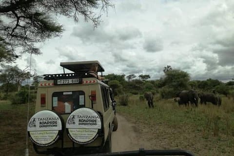 Safari de 3 jours dans les parcs de Tarangire, Ngorongoro et du lac Manyara