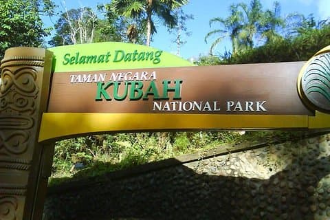 Kubah Night Walk