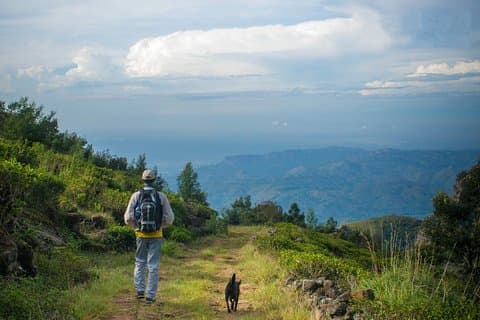 Ella: Guided Devils Staircase Trekking tour with lunch