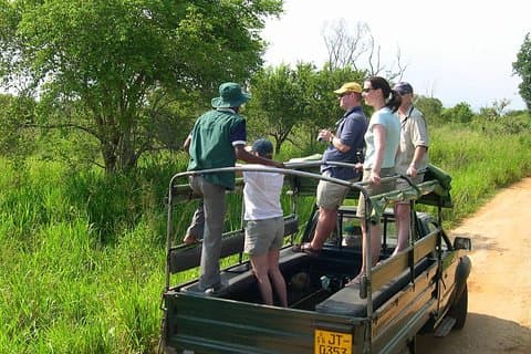 Parc national d'Udawalawe Matin ou après-midi Game Drive