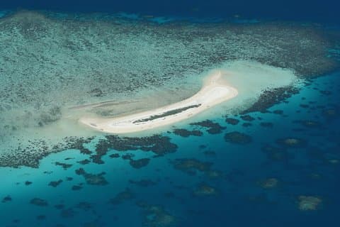 Excursão Seastar Luxury Outer Great Barrier Reef Island and Reef
