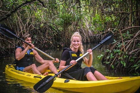 Madu River Sunrise Mangrove Kayaking from Colombo