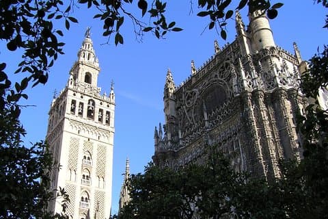 Tour privato: tour della città di Siviglia (Cattedrale, Alcázar reale e Santa Cruz)
