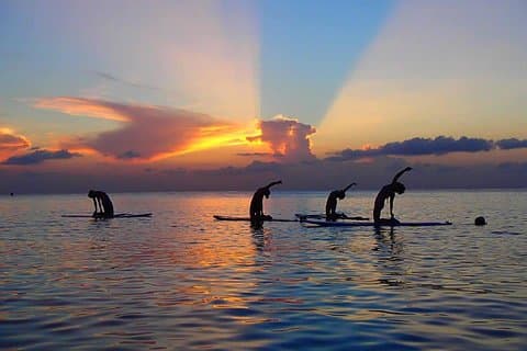 Yoga Paddle Aqua Zen, Yoga auf einem schwebenden Teppich in Verbindung mit der Natur!