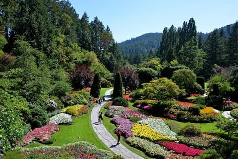 Victoria & Butchart Gardens tur med ferge fra Vancouver