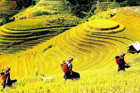 Sapa 2-daagse trektocht met 1 nacht gastgezin