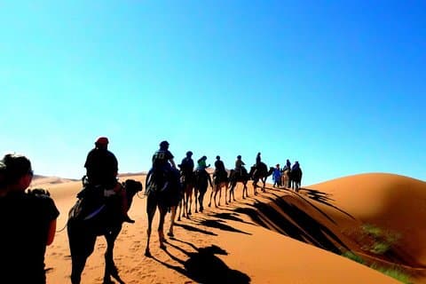 Balade à dos de chameau et nuit dans des camps berbères dans le désert de Merzouga