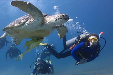 Hurghada Diving